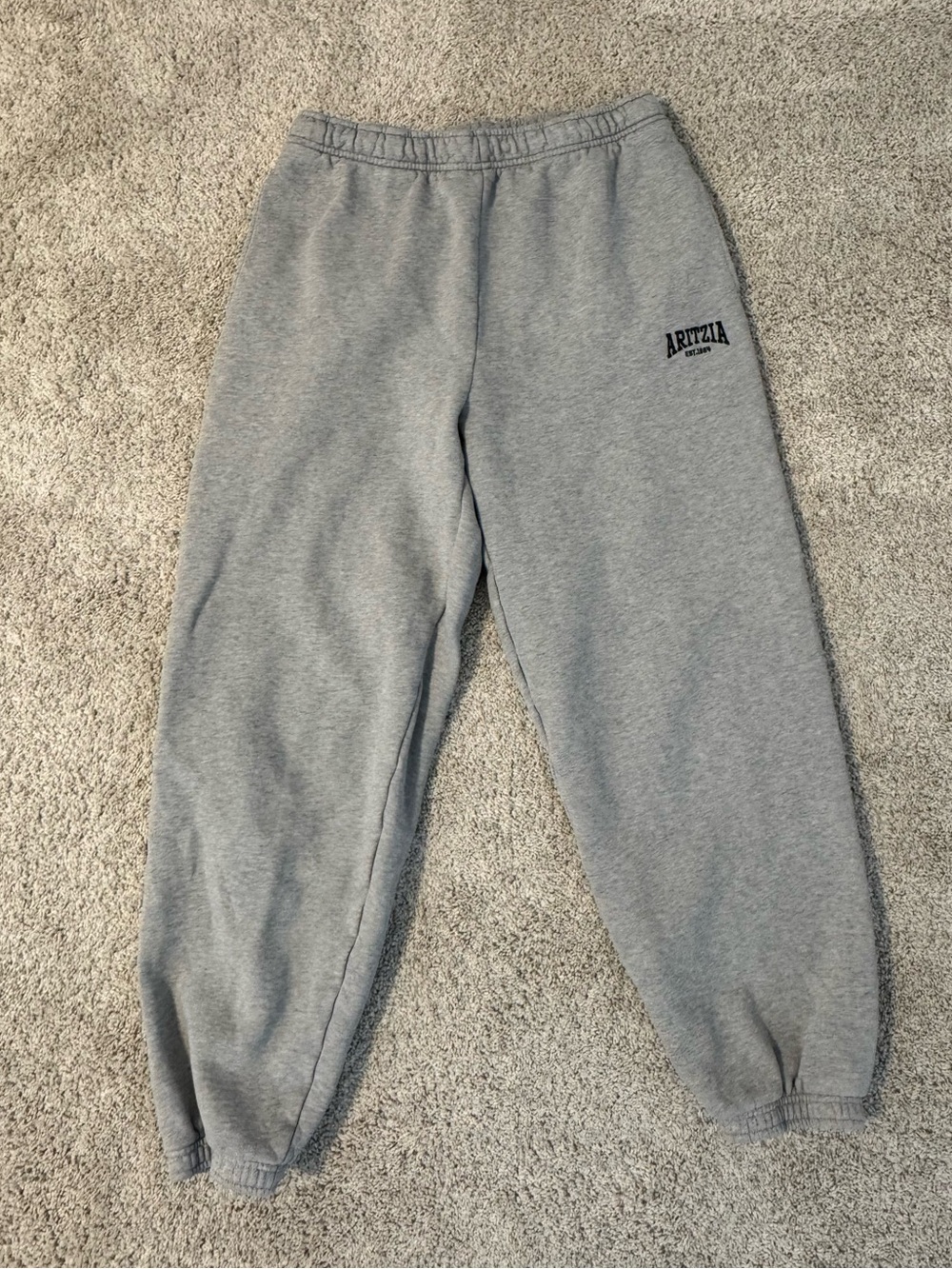 Aritzia Sweat Fleece Pants